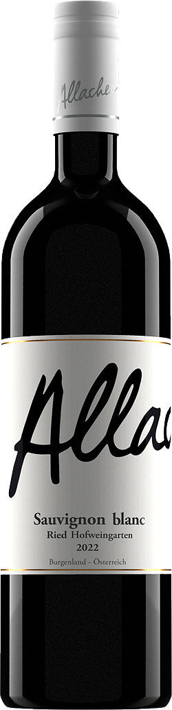 Allacher Sauvignon Blanc Hofweingarten 2023