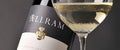 Allram Grüner Veltliner Qualitätswein 1 Liter 2020