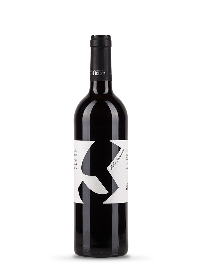 Glatzer Zweigelt Rubin Carnuntum 2016