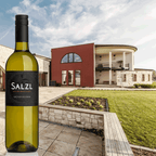 Salzl Grüner Veltliner 2025